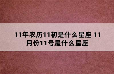 11年农历11初是什么星座 11月份11号是什么星座